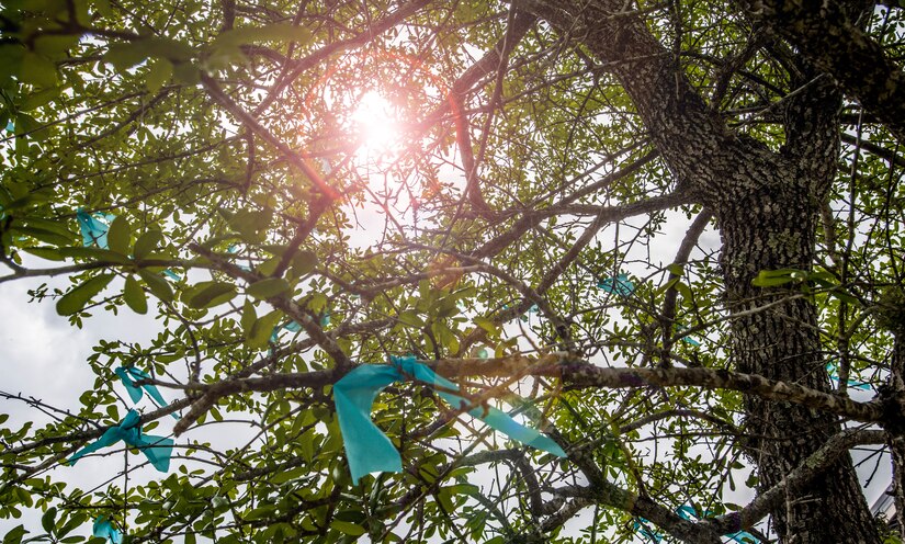 Teal ribbons, one for each Navy victim of sexual assault, were tied around trees on the Naval Nuclear Power Training Command, April 11,2013, at Joint Base Charleston – Weapons Station, S.C. The ribbons represented each of the more than 2,400 Sailors who experienced rape or forcible sodomy in the last 12 months. (U.S. Air Force photo / Airman 1st Class Tom Brading)