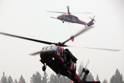 An Air National Guard Pave Hawk HH-60G from the 129th Rescue Wing of Moffett Federal Airfield shares air space with an Army National Guard Black Hawk UH-60 from the 1-140th Aviation Battalion from Los Alamitos, Calif. The aircraft are loading water in their buckets from Paradise Lake in Butte County, Calif. in support of Operation Lightning Strike.