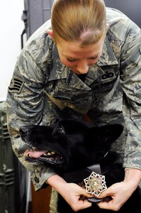 Staff Sgt. Samantha Navarrete, 11th Security Support Flight military working dog handler presents a 2012 K9 Medal for Exceptional Service to her dog Besy during a ceremony April 19, 2013 at Joint Base Andrews, Md. Besy was one of only two honored in 2012 for demonstrating exceptional acts in the War on Terror.  This is the first time an Air Force team has received this award. (U.S. Air Force photo/Airman 1st Class Nesha Humes) 
