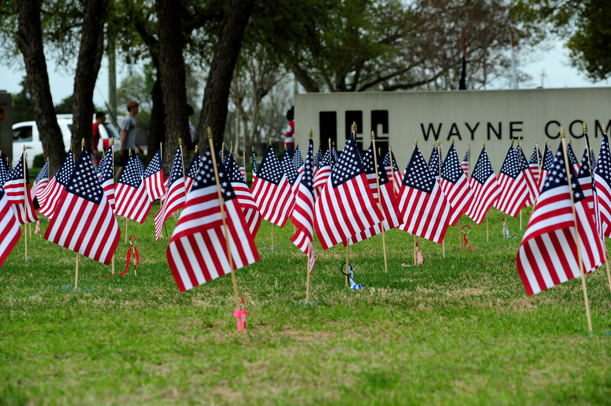 Approximately 145 flags were placed in the ground at the Wayne Community College campus in Goldsboro, N.C., April 16, 2013. The flags represented each Service member in Wayne County and surrounding six counties that have made the ultimate sacrifice. (U.S. Air Force photo by Airman 1st Class Mariah Tolbert/Released)