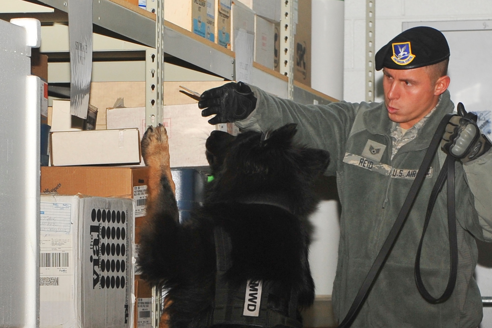 Staff Sgt. Joshua Reid, 460th Security Forces Squadron military working dog handler, directs MWD Ares as he searches for training devices April 10, 2013, at the Anschutz Medical Campus in Aurora, Colo. This training was a collaboration between the Front Range Explosive Detection K-9 group and the University of Colorado Denver police department to increase training effectiveness through different training locations, materials and styles. (U.S. Air Force photo by Senior Airman Phillip Houk/Released)