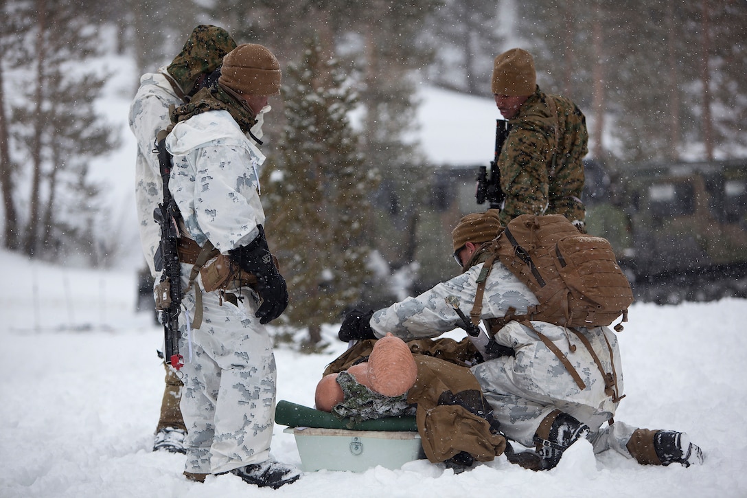 MOUNTAIN WARFARE TRAINING CENTER, BRIDGEPORT, Calif. - Marines with 2nd Battalion, 3rd Marine Regiment, conduct avalanche rescue victim training saving a dummy during scout skiers course at Mountain Warfare Training Center in Bridgeport, Calif., April 8, 2013. (U.S. Marine Corps photo by Lance Cpl. Suzanna Lapi)