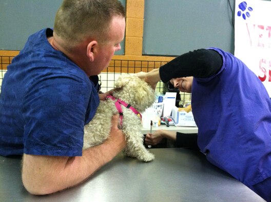 The loyal canine and feline companions of the homeless veterans received care at the StandDown, as well as boarding while the veteran was receiving services in the coliseum. (U.S. Air Force photo/Staff Sgt. Joshua Nason)