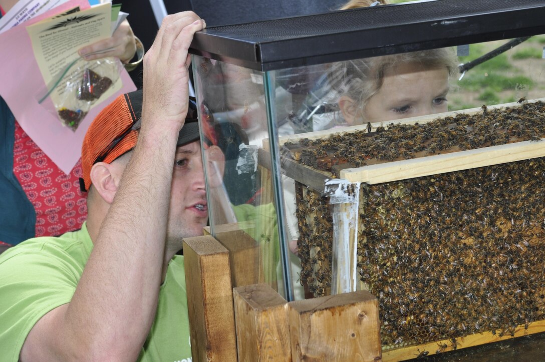 Capt. Justin Strickler checks on the welfare of his bees during the 2013 Earth Day on the Rappahonnock at Old Mills Park in Fredricksburg on April 13, 2013. Strickler and Chief Warrant Officer James McWilliams started Honeycomb Heroes, a honey making business, as a hobby in 2011. After attending a SCORE class on how to start your own business at the Chapel Annex on Marine Corps Base Quantico, they decided to get serious about making honey. Within three years of buying their first bee hive, they expect to be in the black this year.