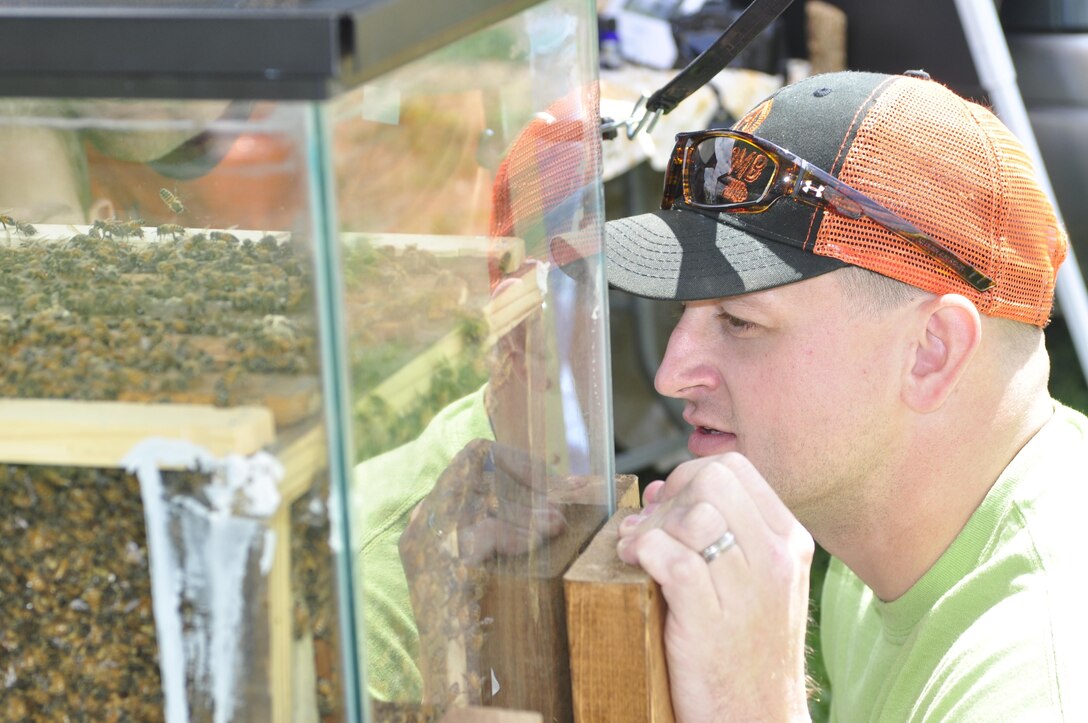 Capt. Justin Strickler checks on his bees during the 2013 Earth Day on the Rappahonnock at Old Mills Park in Fredricksburg on April 13, 2013. Strickler and Chief Warrant Officer James McWilliams started Honeycomb Heroes, a honey making business, as a hobby in 2011. After attending a SCORE class on how to start your own business at the Chapel Annex on Marine Corps Base Quantico, they decided to get serious about making honey. Within three years of buying their first bee hive, they expect to be in the black this year.