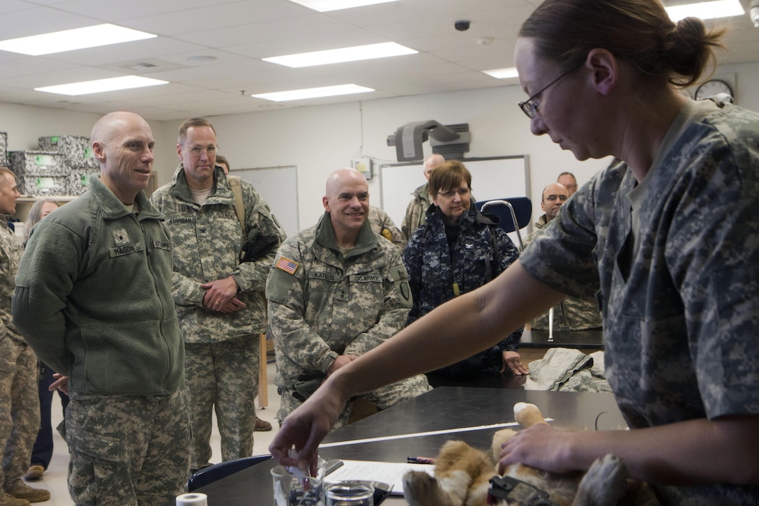 Brig. Gen. James Mason, deputy commander of operations for 807th Medical Command, Army Reserve; Col. Hunt Kerrigan, commander of 38th Troop Command, Alaska National Guard; Army Maj. Gen. Thomas Katkus, adjutant general for the Alaska Department of Military and Veterans Affairs; and Navy Capt. Karen Trueblood, director of Innovative Readiness Training, Office of Secretary of Defense, Reserve Affairs; observe Spc. Karen Green, veterinary technician, 109th Medical Detachment Veterinary Services, as she prepares a dog for a surgery here, April 20.  Mason, Kerrigan, Katkus and Trueblood were some of the distinguished visitors who traveled to three of the 12 Alaskan villages taking part in IRT Arctic Care 2013. IRT Arctic Care is a multi-service humanitarian and training program that focuses on enhancing the capability of U.S. forces in peacetime support operations, humanitarian assistance and disaster relief. IRT Arctic Care brings medical, dental and veterinary aid to 12 rural villages in Alaska. The exercise is primarily a Reserve effort with Marine Forces Reserve taking the lead and receiving logistical and medical support from the National Guard, Army Reserve, Navy Reserve and Air Force Reserve.