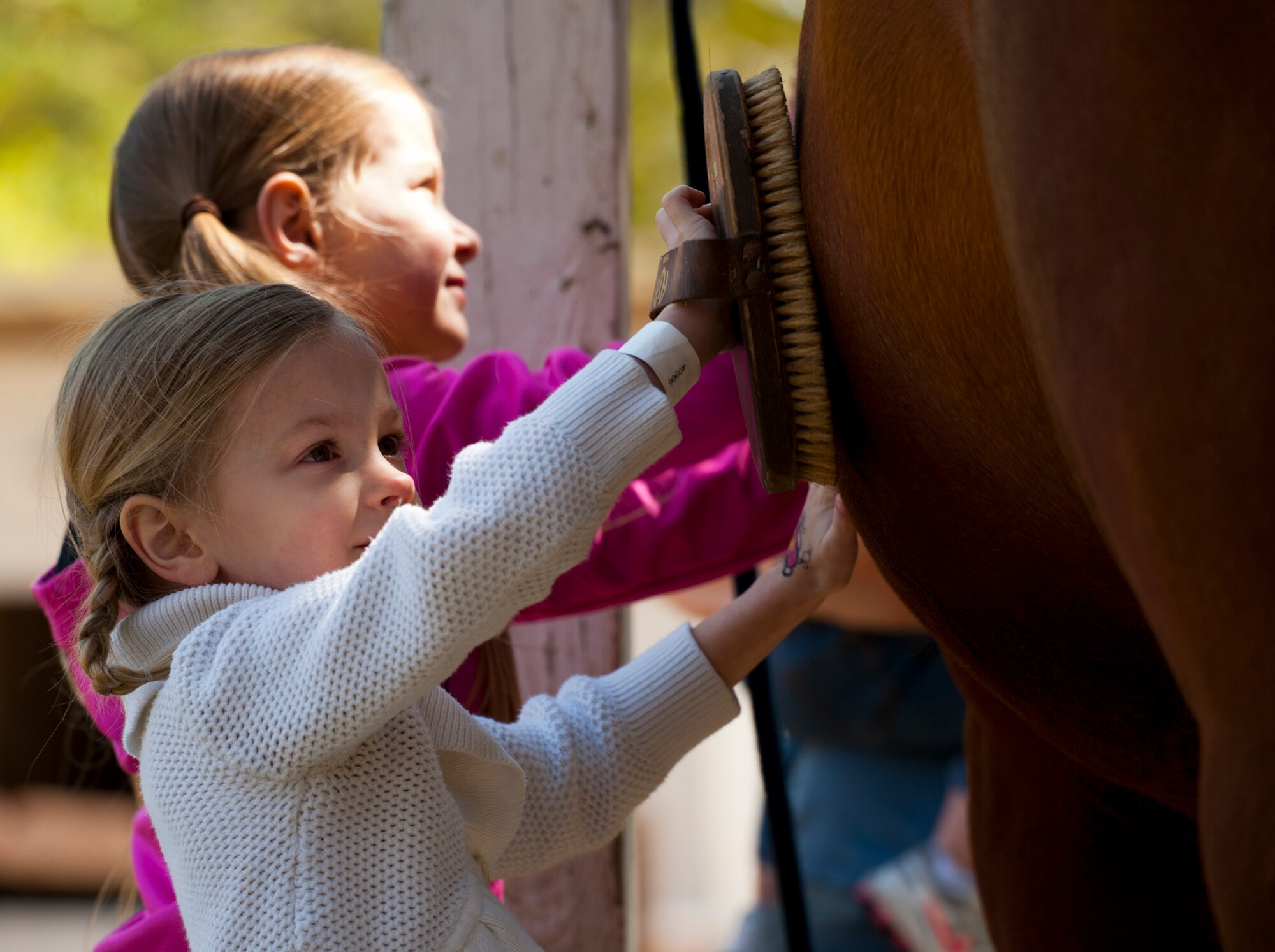 An attendee and her sister brush a horse at the Sand and Spur Riding Club open house event April 20 at Eglin Air Force Base, Fla.  The club provided pony rides for kids and riding and training demonstrations. Those who attended got an up close and hands-on experience with many of the different breeds of horses housed at the stables on base.  (U.S. Air Force photo/Samuel King Jr.)