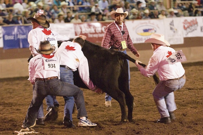 The "Canadian Milkers" – a wild cow milking team made up of personnel assigned to North American Aerospace Defense Command – won first place in a preliminary round at the Pikes Peak or Bust Rodeo in Colorado Springs, Colo., July 12, 2007. The team returned to the rodeo July 15 to compete for overall honors in the finals, but was out-milked by a team from Fort Carson, Colo. The rodeo is a charitable organization dedicated to funding programs and services that benefit local military personnel and their families. Photo by Sgt. 1st Class Gail Braymen 