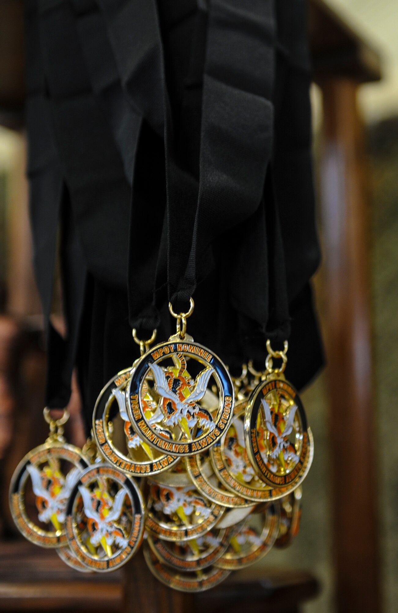Medallions hang during the 2013 Maintenance Professional of the Year banquet at Moody Air Force Base, Ga., on April 19, 2013. The medallions were presented to all nominees for various categories; the winners were announced at the end of the night. (U.S. Air Force photo by Airman Alexis Grotz/ Released)