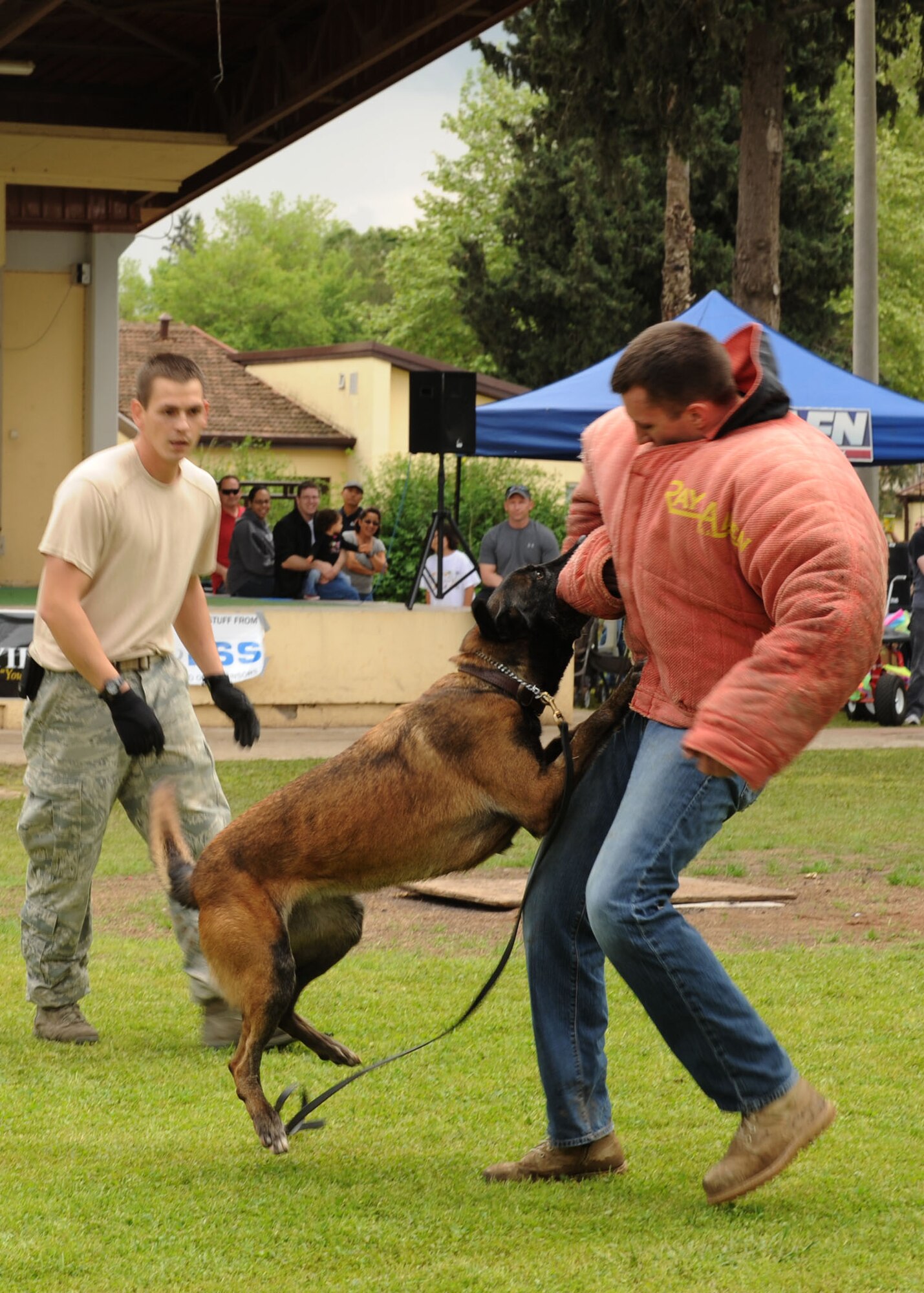 Staff Sgt. Christopher Keilman, 39th Security Forces Squadron military working dog handler oversees MWD Kira’s attack on a bite jacket worn by Senior Airman Joshua Rettschlag, 39th SFS MWD handler, at the annual Spring Fling event April 20, 2013, at Incirlik Air Base, Turkey. The MWDs and handlers drew gasps and applause from the crowd with their demonstrations. (U.S. Air Force photo by Senior Airman Chase Hedrick/Released)
