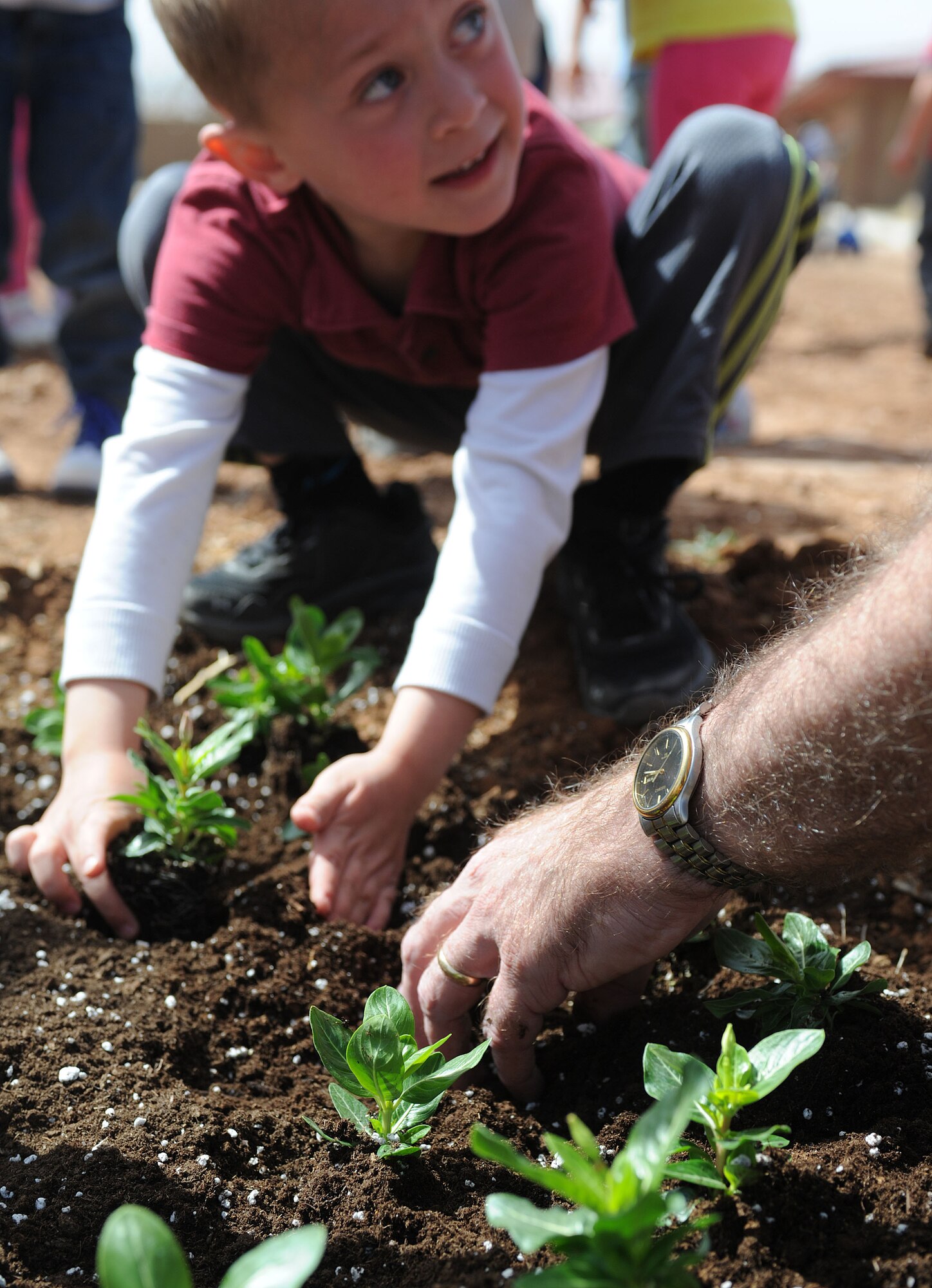 A child plants flowers at the Child Development Center at Cannon Air Force Base, N.M., April 25, 2013. The CDC members participated in the planting to celebrate Earth Day and Arbor Day. (U.S. Air Force photo/Airman 1st Class Ericka Engblom)