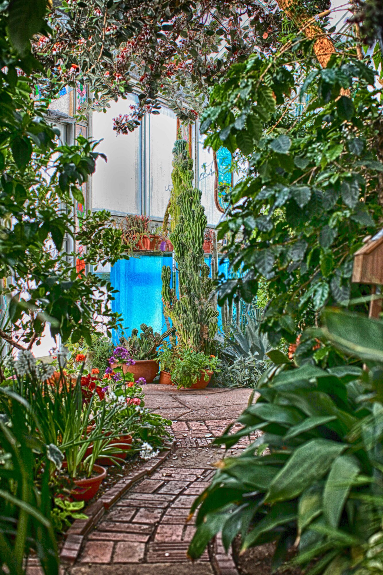 Vegetation frames a cactus growing in a greenhouse of the Cheyenne Botanic Gardens April 19. (U.S. Air Force photo by Matt Bilden)