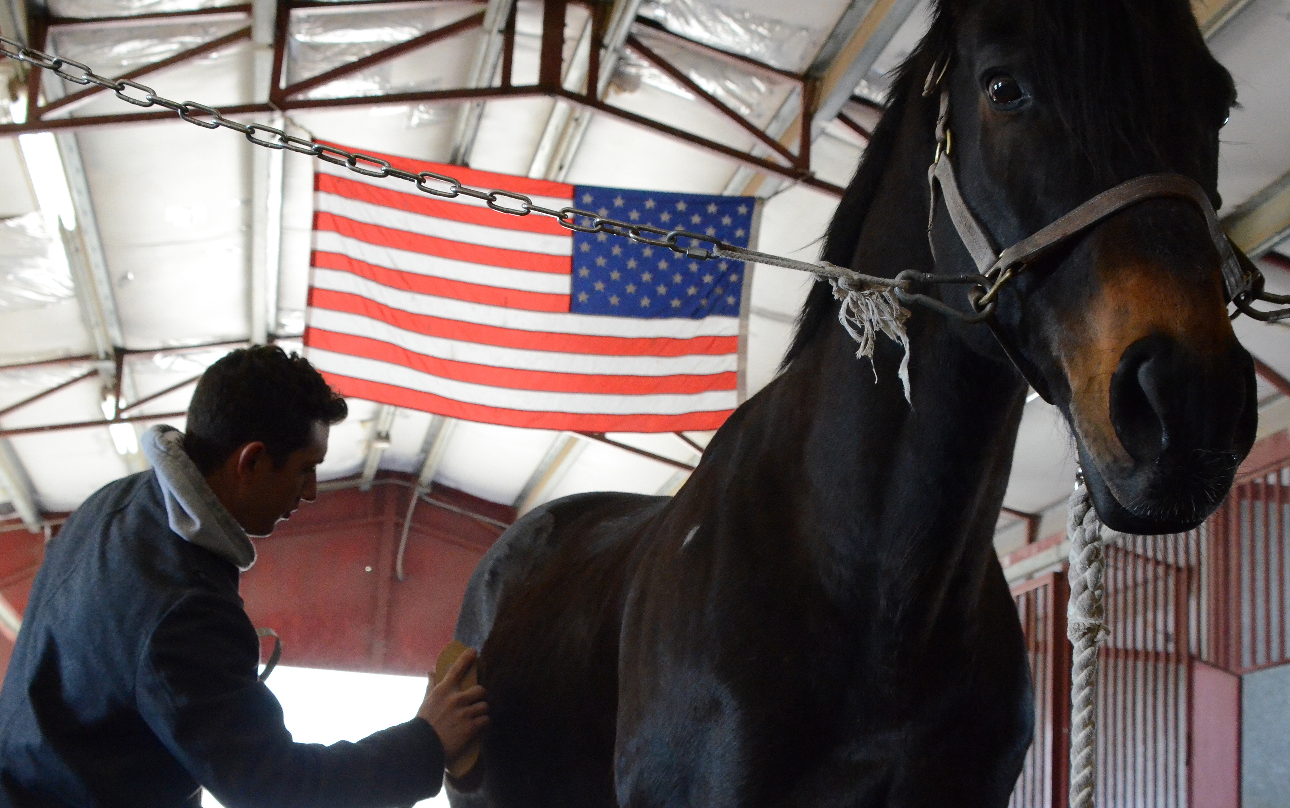 usafa horse stables