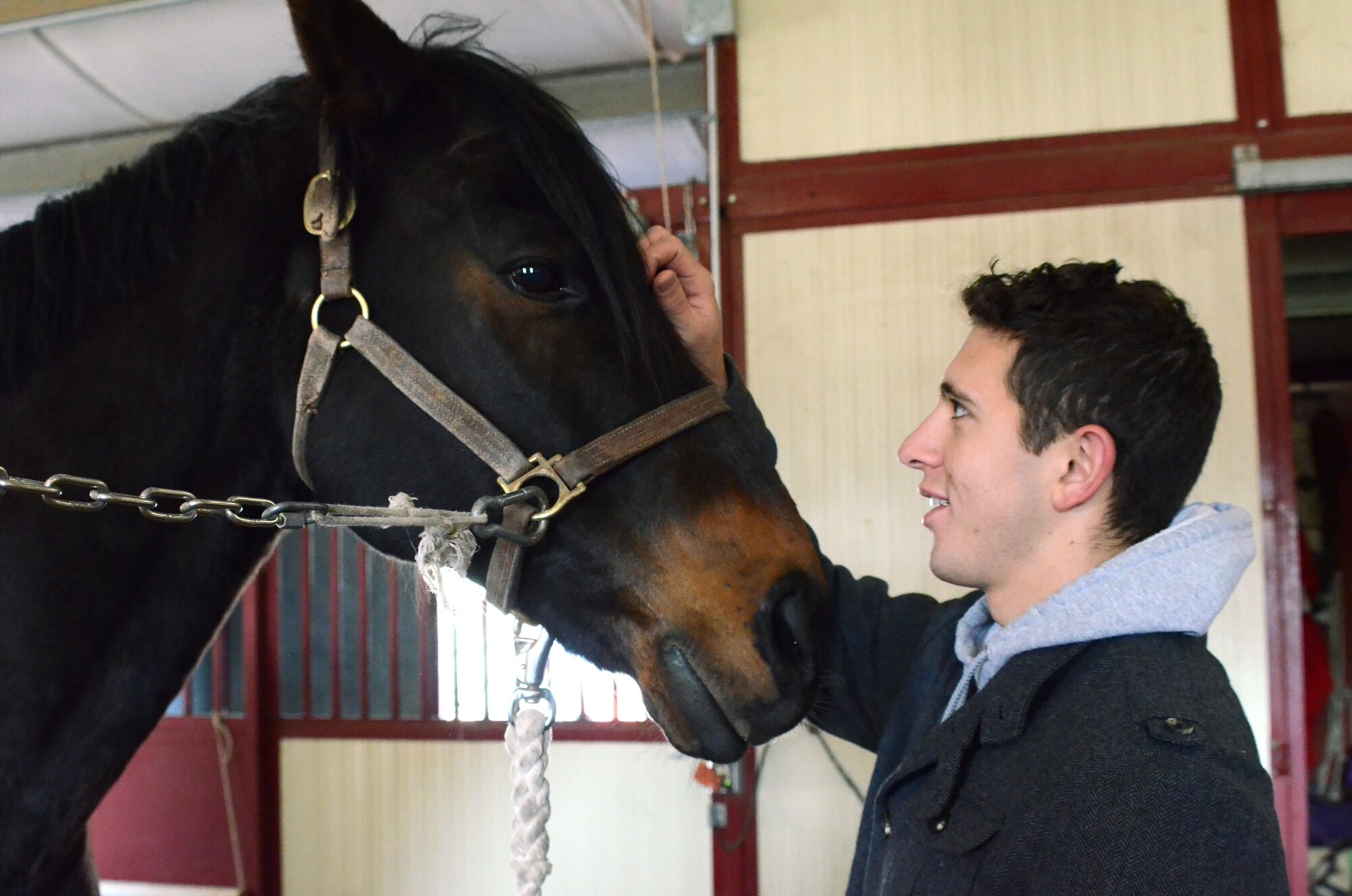Cadet 1st Class John Ploschnitznig rubs Hollywood’s nose before putting him in his stall at the Air Force Academy Equestrian Center Stables April 24, 2013. Ploschnitznig, a native of Pittsburgh, will be the first cadet from the Air Force Academy to compete in the Intercollegiate Horse Show Association National Championships, scheduled to take place May 2-5 in Harrisburg, Pa. (U.S. Air Force photo/Carol Lawrence)