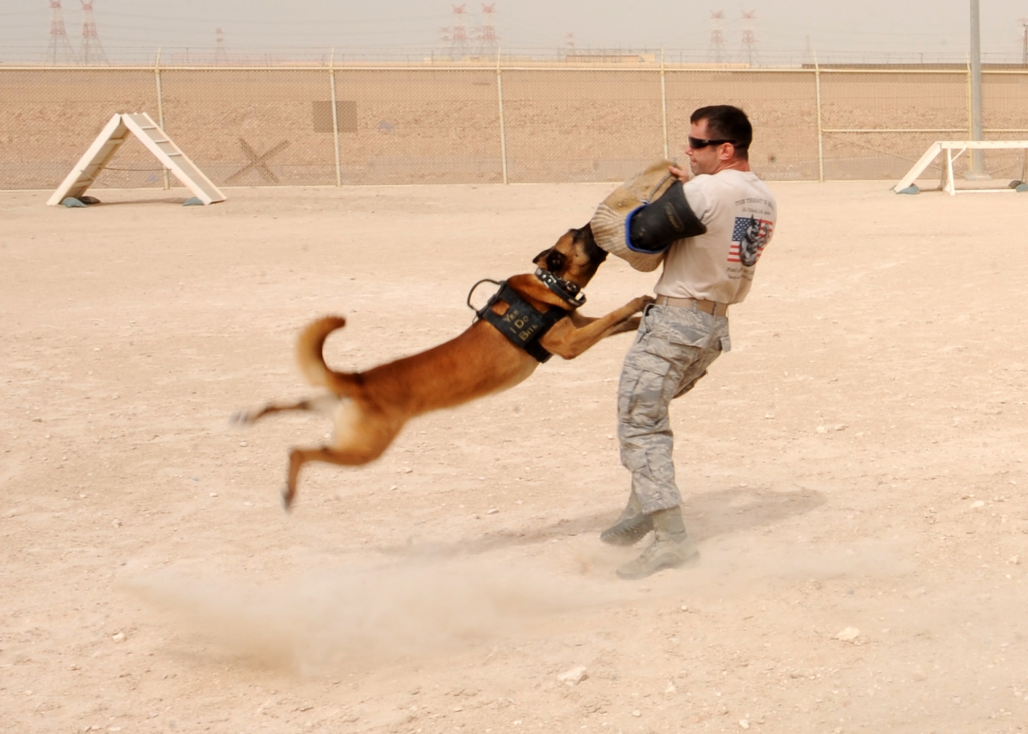 SOUTHWEST ASIA - Tech. Sgt. David Helmbrecht, 379th Expeditionary Security Forces Squadron kennel master, swings Nico after the military working dog successfully attacks the bite sleeve in the obedience yard, April 23. Because of Nico’s weight and the force of his momentum when he attacks, dog handlers swing him when they wear the bite suit to help prevent Nico from injuring himself. Helmbrecht is deployed from Grand Forks Air Force Base, N.D., and Nico is deployed from Travis Air Force Base, Calif. (U.S. Air Force photo/Staff Sgt. Joel Mease)