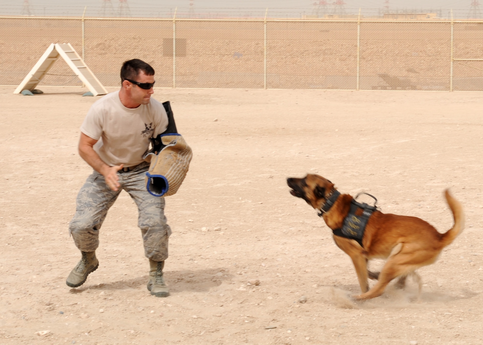SOUTHWEST ASIA – Tech. Sgt. David Helmbrecht, 379th Expeditionary Security Forces Squadron kennel master, prepares to allow Nico to bite him on the bite sleeve in the obedience yard, April 23. Dog handlers have to know their dog is capable of biting a person when ordered to, and if the dog will follow the command to stop as well. Helmbrecht is deployed from Grand Forks Air Force Base, N.D., and Nico is deployed from Travis Air Force Base, Calif. (U.S. Air Force photo/Staff Sgt. Joel Mease)