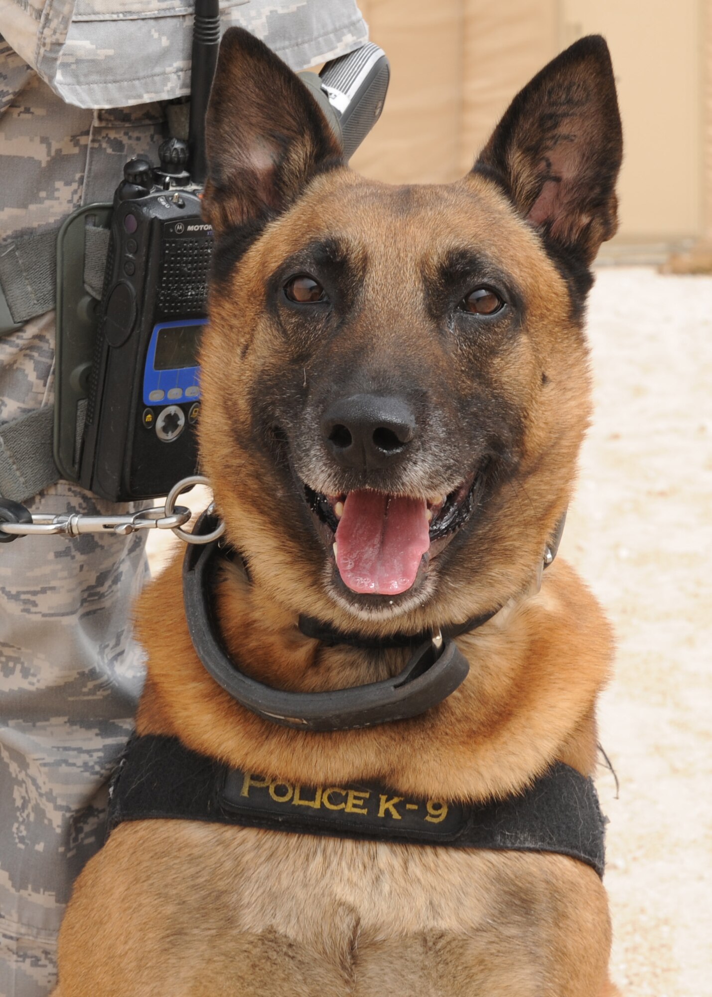 SOUTHWEST ASIA – Nico stands guard next to his 379th Expeditionary Security Forces Squadron dog handler, Staff Sgt. Charles Bell, in the obedience yard, April 23. Partners for two years, and being on their second deployment they build bonds together by playing and training during the day. Bell and Nico are deployed from Travis Air Force Base, Calif. (U.S. Air Force photo/Staff Sgt. Joel Mease)