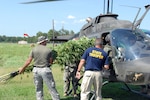 Arkansas Guard members help State Police remove marijuana plants from a Guard helicopter during a recent eradication mission in support of the National Guard's Counterdrug Program.