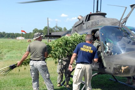 Arkansas Guard members help State Police remove marijuana plants from a Guard helicopter during a recent eradication mission in support of the National Guard's Counterdrug Program.