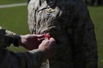 Brig. Gen. Edward D. Banta, the commanding general of 2nd Marine Logistics Group, pins a Bronze Star Medal on Navy Lt. Wilfredo L. Lucas, the operations officer of 2nd Medical Battalion, Combat Logistics Regiment 25, 2nd MLG, aboard Camp Lejeune, N.C., April, 24, 2013. Lucas earned the Bronze Star during a recent deployment to Afghanistan.