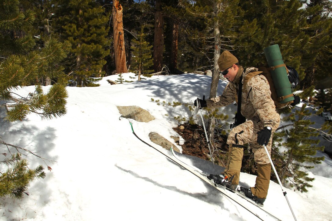 1st Lt. Ross Pospisil, platoon commander, Company A, 1st Combat Engineer Battalion, skis up a mountain pass near the Marine Corps Mountain Warfare Training Center's skylift training area April 2. Pospisil conducted land navigation during the Winter Mountain Leaders Course. Graduates of the course will become Mountain Warfare Combat Instructor certified and be an assest to their commanding officer.