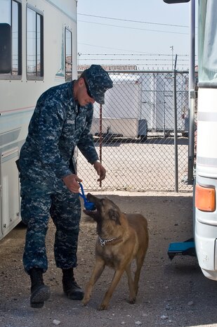 Petty Officer 3rd Class Tyler Falconer, Naval Air Station Fallon Security Department military working dog handler, rewards Arco, Naval Air Station Fallon Security Department military working dog, after finding explosives during explosive search training April 26, 2013, at Nellis Air Force Base, Nev. The military working dogs are rewarded for good performance. (U.S. Air Force photo by Senior Airman Matthew Lancaster)