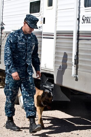 Petty Officer 3rd Class Tyler Falconer, Naval Air Station Fallon Security Department military working dog handler, and Arco, Naval Air Station Fallon Security Department military working dog, search vehicles for explosives during explosive training April 26 2013, at Nellis Air Force Base, Nev. Air Force and Navy military working dog handlers participate in joint training to learn additional training tactics and exchange training ideas. . (U.S. Air Force photo by Senior Airman Matthew Lancaster)