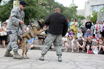 Air Force Staff Sgt. Joshua Hale 802nd Security Forces Squadron military working dog handler, and Kormi 802nd SFS MDW and Tech Sgt. Anthony Rodriguez demonstrate the capabilities of the K-9 unit during Air Force at the Alamo, one of many San Antonio-wide Fiesta events April 22. (U.S. Air Force photo by Joshua Rodriguez) (U.S. Air Force photo by Joshua Rodriguez) (released)