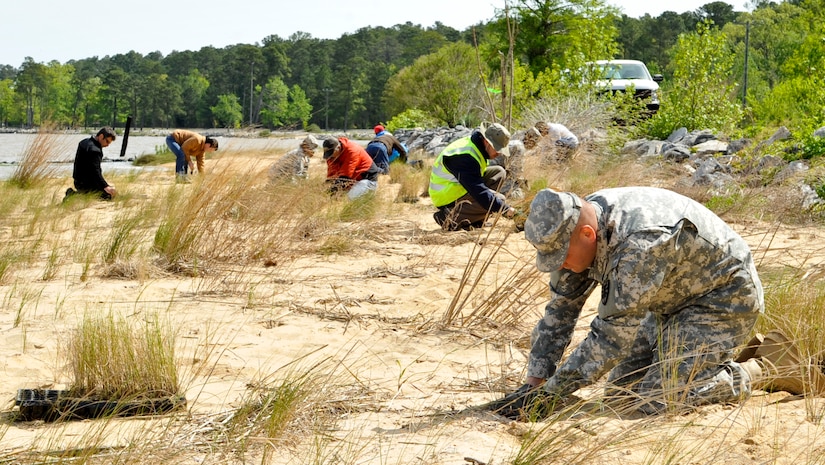 U.S. Army Soldiers and civilians plant salt meadow cordgrass along the James River shoreline at Fort Eustis, Va., April 25, 2013. Members of Joint Base Langley-Eustis community rallied to support environmental conservation and sustainment efforts in a week-long celebration in honor of Earth Day April 22-26. (U.S. Air Force photo by Staff Sgt. Wesley Farnsworth/Released)