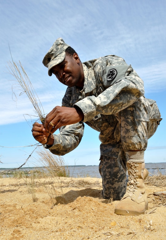 U.S. Army Sgt. Maj. Jesse Sharpe, 733rd Mission Support Group command sergeant major, plants salt meadow cordgrass along the James River as part of Earth Week at Fort Eustis, Va., April 25, 2013. More than 230 volunteers joined environmental protection officials at Langley Air Force Base and Fort Eustis in a series of clean-up and educational projects on each installation. (U.S. Air Force photo by Staff Sgt. Wesley Farnsworth/Released)