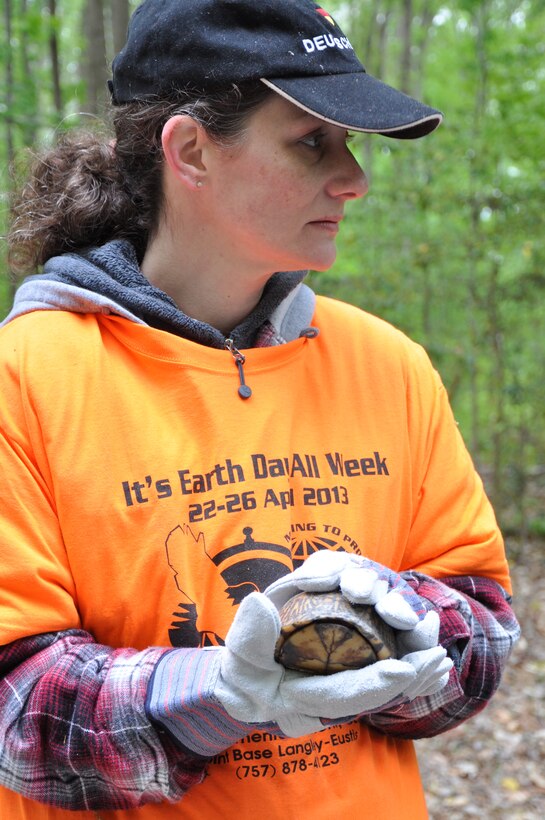 Dani Miles of the Fort Eustis Veterinary Treatment Facility holds an eastern box turtle she found before releasing it back into the wild during the third annual Box Turtle Survey in Training Areas 1 and 2 at Fort Eustis, Va., April 23, 2013. The survey was part of the installation’s Earth Week celebration April 22-26. Box turtles play an important role in determining the health of an environment because they are an indicator species; if they are missing from an environment they are supposed to be found in, it could indicate that something is wrong. Environmental conservation is critical to maintaining healthy environments for Solders to train in. (U.S. Air Force photo by Tech. Sgt. April Wickes/Released)