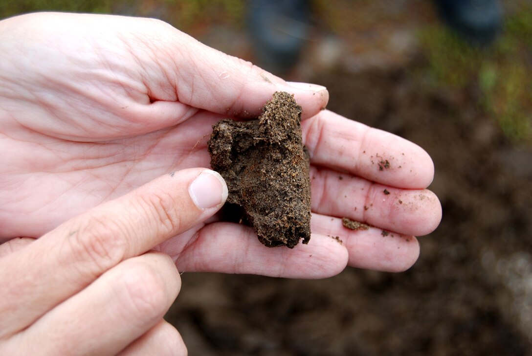 Iron depletion (seen as the rusty orange color) is a redoximorphic feature used to identify hydric soils. During field investigations, biologist look for identifiers such as these to help determine whether to classify an area as a wetland.