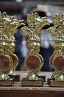 Congratulatory trophies line a table at the Cheyenne Frontier Days Challenge Rodeo event held in Frontier Park, Cheyenne, Wyo., July 24, 2013. Wyoming Gov. Matt Mead and his wife would go on to present trophies to all the contestants during this year’s event. (U.S. Air Force photo by Senior Airman Mike Tryon)