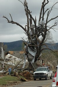 A once proud Oak tree stands stripped of its foliage and wrapped in debris from the devastated town of Mena, Ark. A powerful tornado ripped through the community of 5,700 the evening of April 10. A contingent of 30 members of the Arkansas Army National Guard's 39th Infantry Brigade Combat Team entered the town shortly after the tornado passed and began providing assistance. More troops poured in the next morning to begin search and rescue operations, and to provide security.