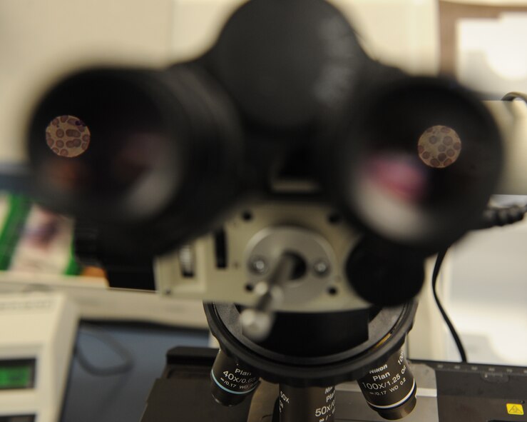 Red blood cells appear through a microscope on Barksdale Air Force Base, La., Aug. 2, 2013. The 2nd Medical Support Squadron laboratory processes more than 15,800 blood and urine samples a month. (U.S. Air Force photo/Senior Airman Benjamin Gonsier) 