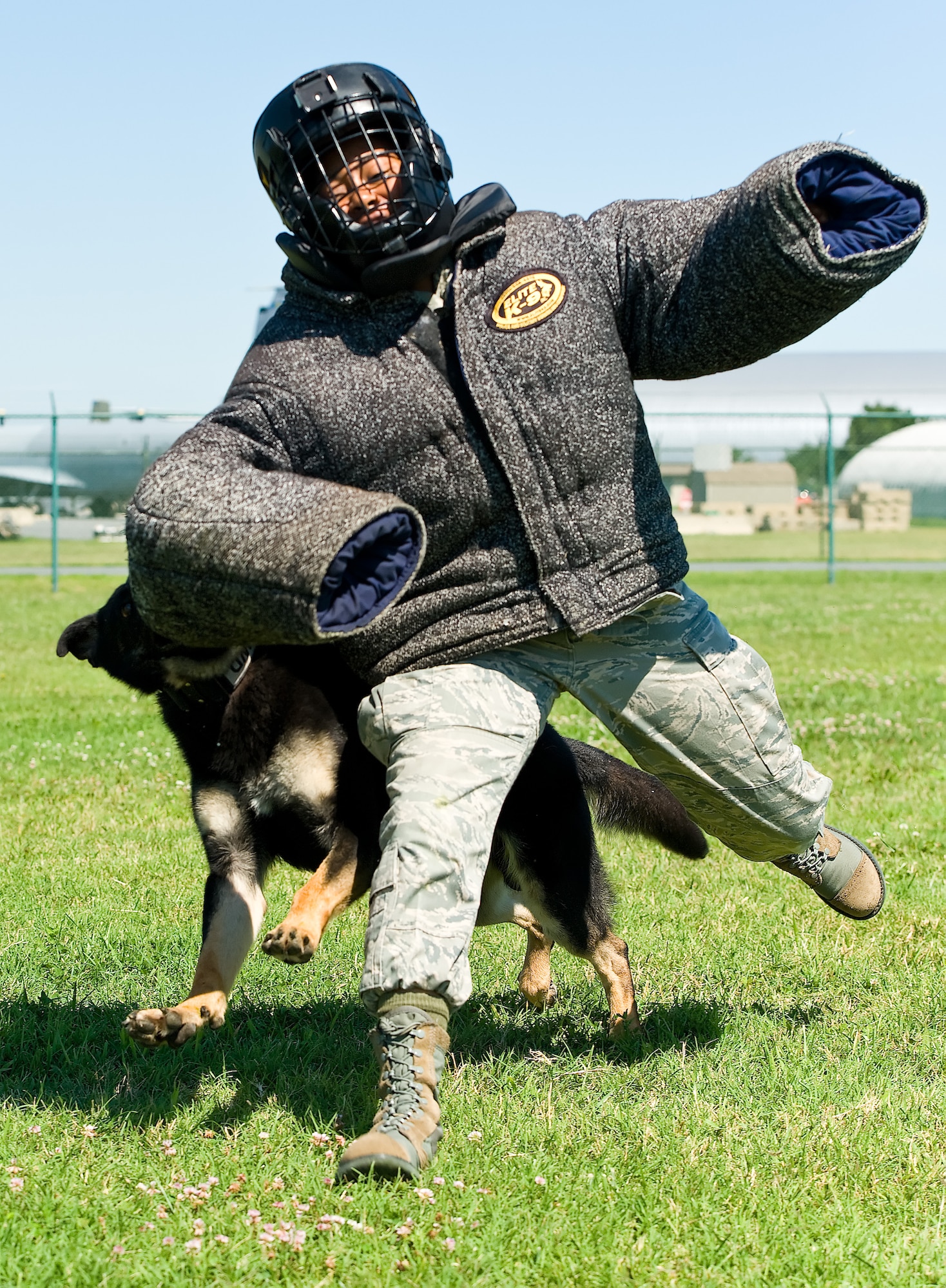 First Lt. Remoshay Nelson, 436th Airlift Wing Deputy Chief of Public Affairs , runs away from military working dog Body July 30, 2013, at Dover Air Force Base, Del. Body, a three and a half-year old, 69-pound German Shepherd, latched onto Nelson’s arm and brought her to the ground during a training session at the kennel. (U.S. Air Force photo/Roland Balik)