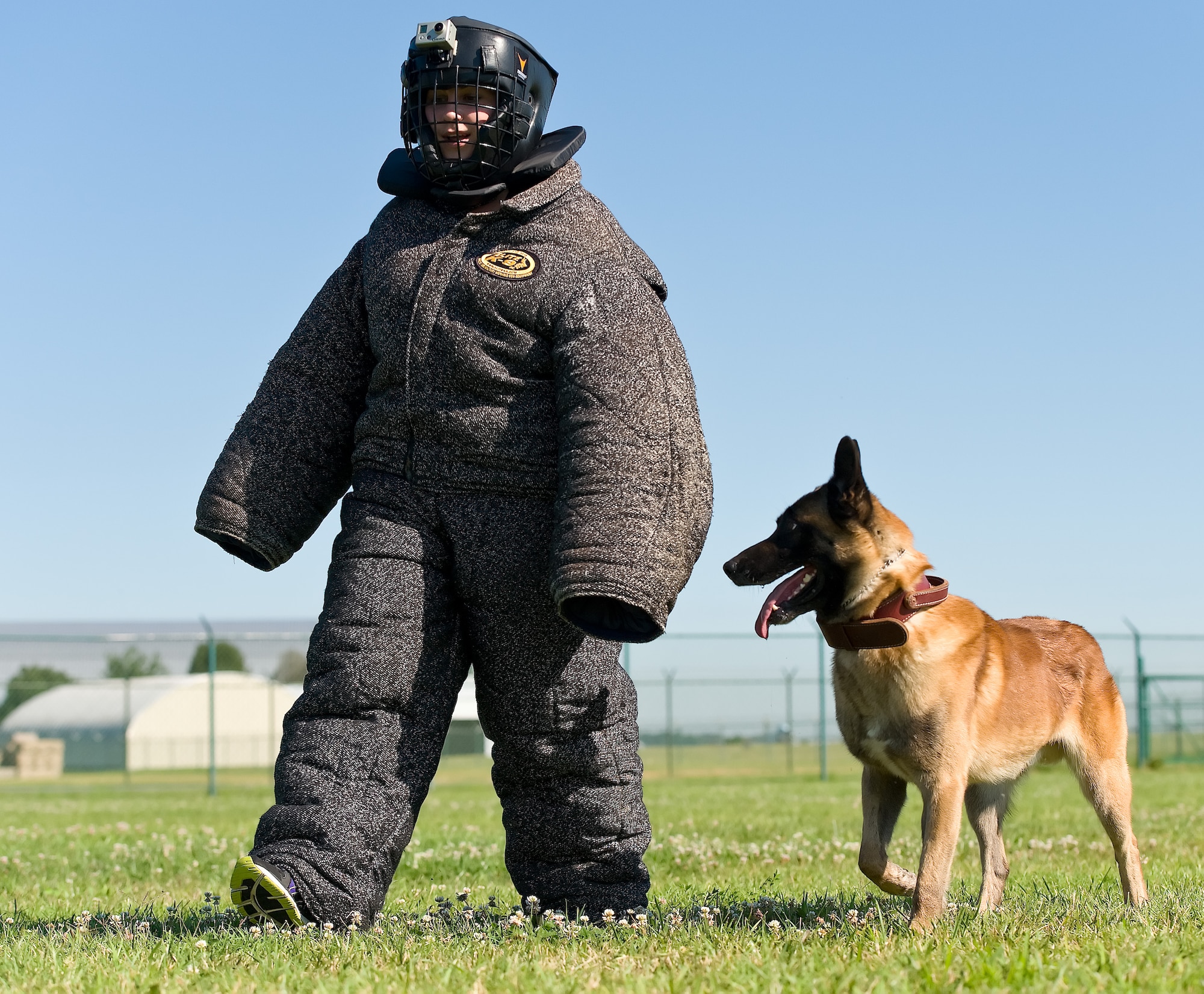 Ashley Barnas, a reporter with The News Journal, Wilmington, Del., cautiously walks alongside Cuervo, a military working dog with the 436th Security Forces Squadron July 30, 2013, at Dover Air Force Base, Del. Cuervo is trained to attack if Barnas made any sudden or provoking movements. (U.S. Air Force photo/Roland Balik)