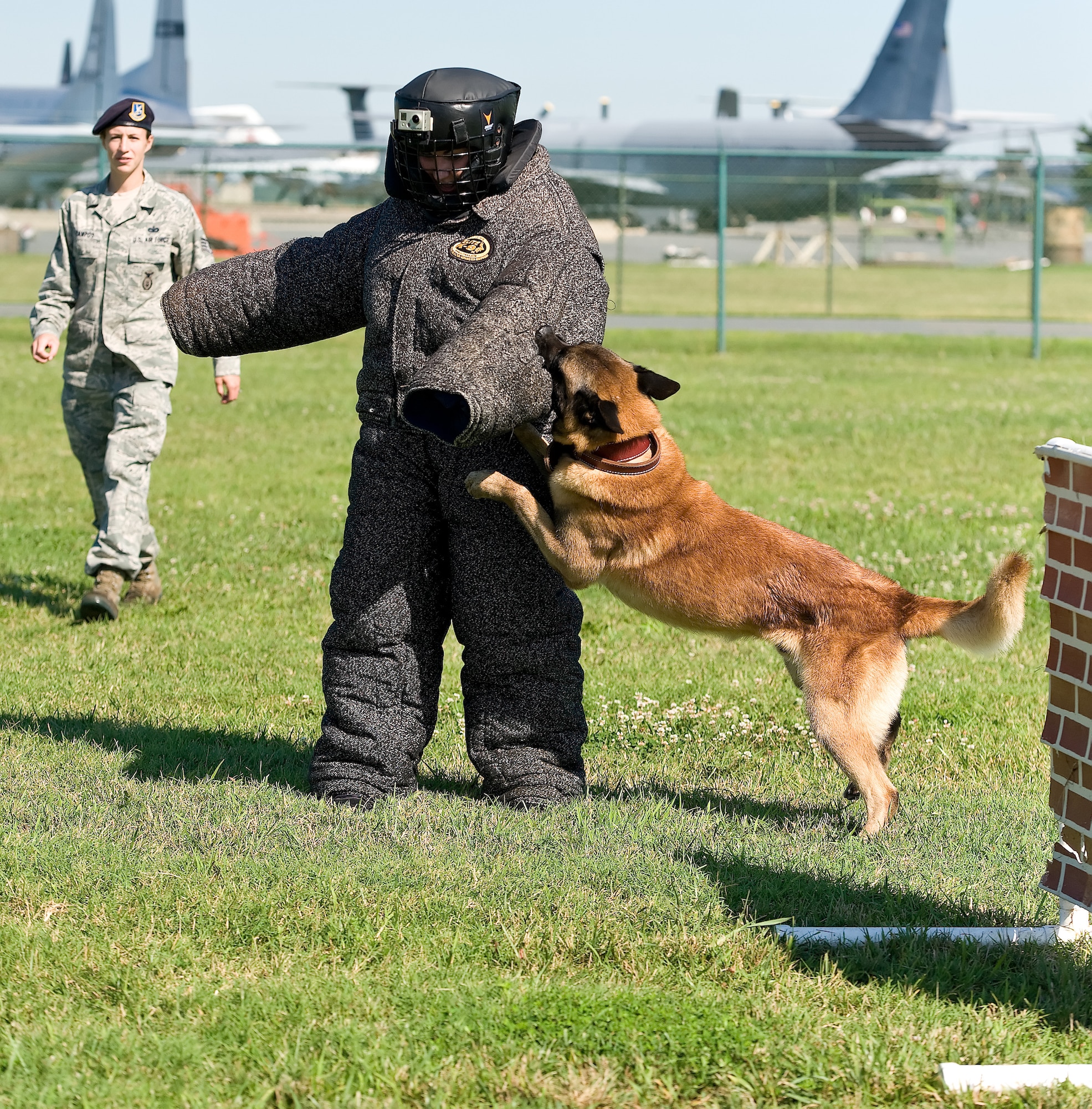 Cuervo, a military working dog, bites the arm of Ashley Barnas, a reporter with The News Journal, Wilmington, Del. July 30, 2013, at Dover Air Force Base, Del. Staff Sgt. Christine Campos, a military working dog trainer with the 436th Security Forces Squadron, watches over the hands-on training demonstration for Barnas. (U.S. Air Force photo/Roland Balik)