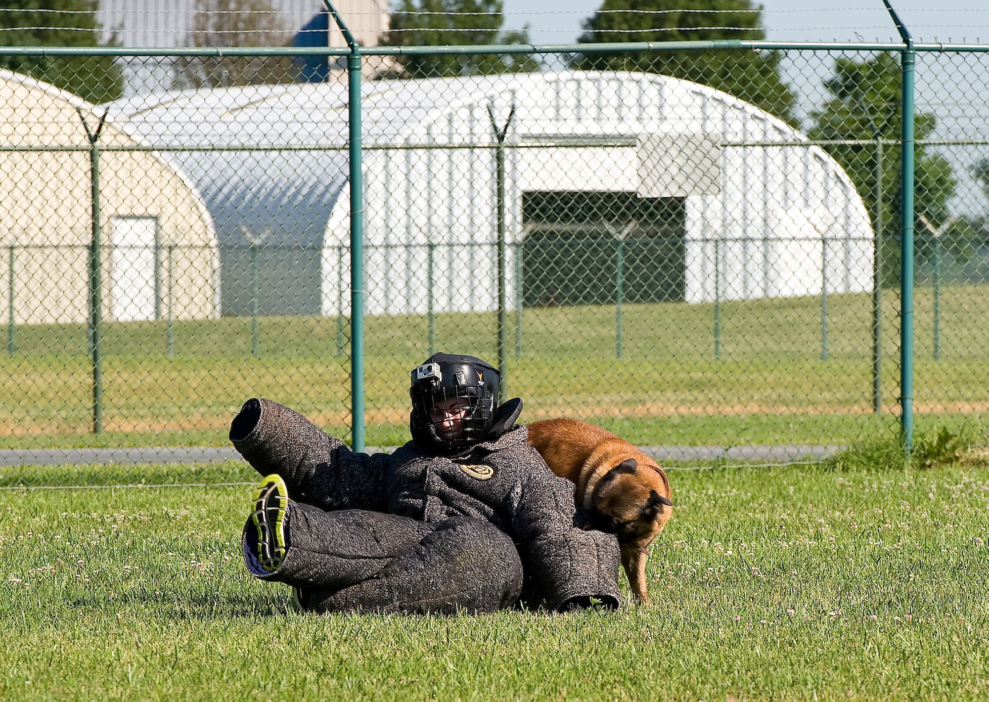 Cuervo, a military working dog, takes down Ashley Barnas, a reporter with The News Journal, Wilmington, Del. July 30, 2013, at Dover Air Force Base, Del. Barnas donned a complete ?bite suit? and volunteered to be pursued by Cuervo. (U.S. Air Force photo/Roland Balik)