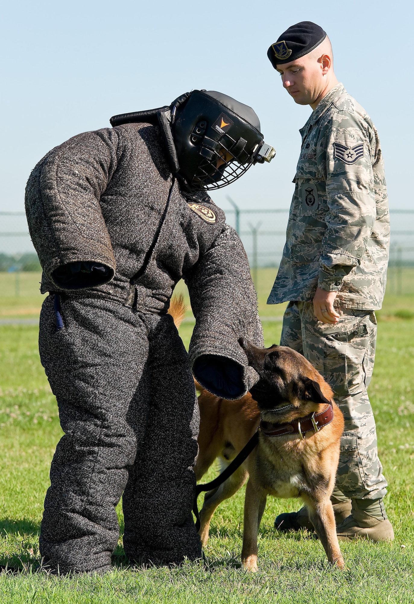 Staff Sgt. John Sutherland, right, a military working dog handler with the 436th Security Forces Squadron, watches  Cuervo, bite the arm of Ashley Barnas, a reporter with The News Journal, Wilmington, Del. July 30, 2013, at Dover Air Force Base, Del. Cuervo, a six-year old, 67-pound Belgian Malinois, is one of seven MWDs assigned to Dover AFB. (U.S. Air Force photo/Roland Balik)