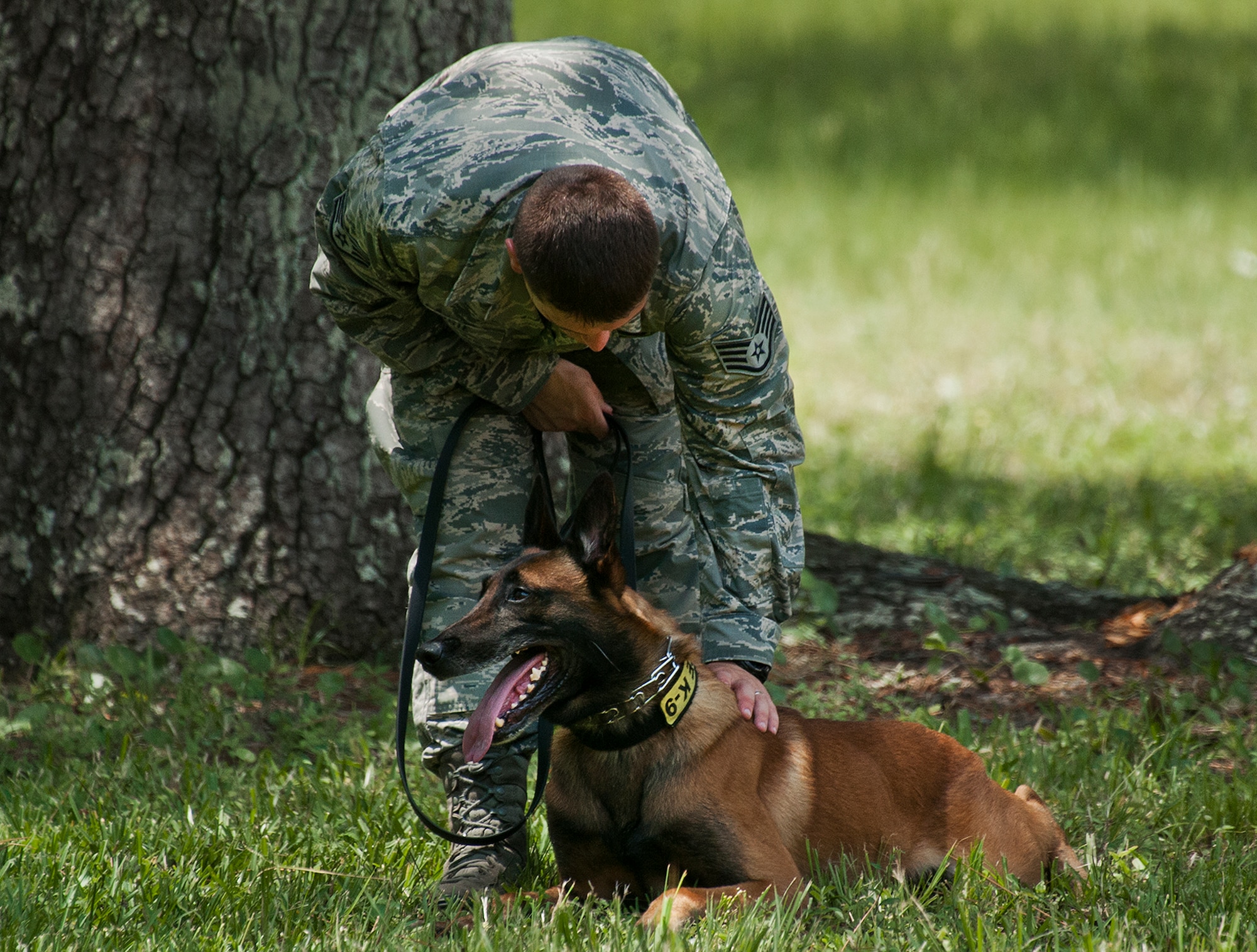 Gaskon enjoys some personal attention from Staff Sgt. Shane Massie, 96th Security Forces Squadron's military working dog trainer, after performing a demonstration of his Air Force K-9 skills for a base audience at Eglin Aug. 2. New canines arrive to their bases with basic obedience, detection and recognition skills, it is up to security forces handlers to connect with them and build the bond that will make them a trusted, yet lethal team. (U.S. Air Force photo/Samuel King, Jr.)