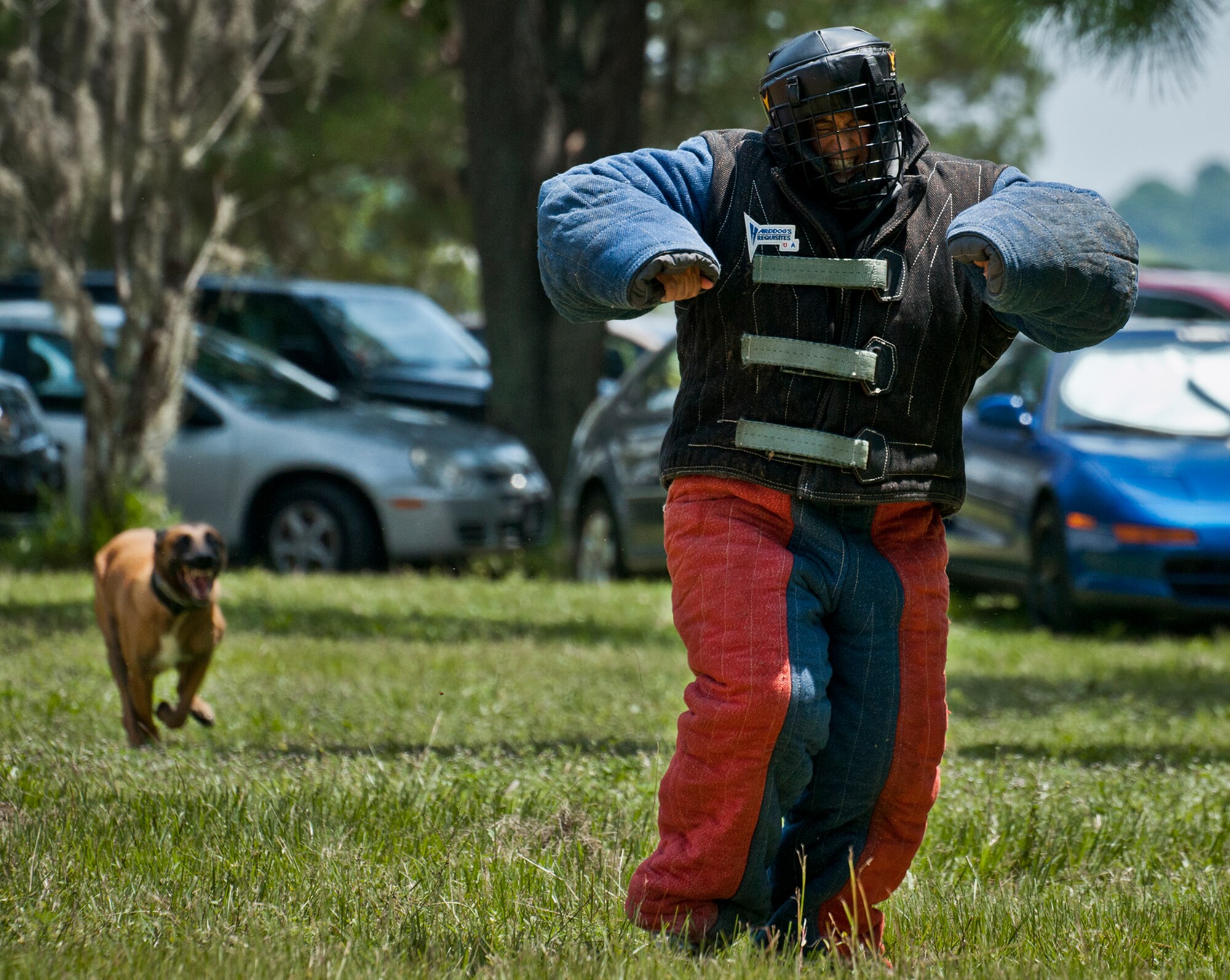 Senior Master Sgt. Robyn Fulkerson, of the 513th Electronic Warfare Squadron tries to get away from Arko during a military working dog demonstration by the 96th Security Forces Squadron at Eglin Air Force Base, Fla., Aug. 2.  The 96th currently has five K-9 security forces teams working on base. (U.S. Air Force photo/Samuel King Jr.)
