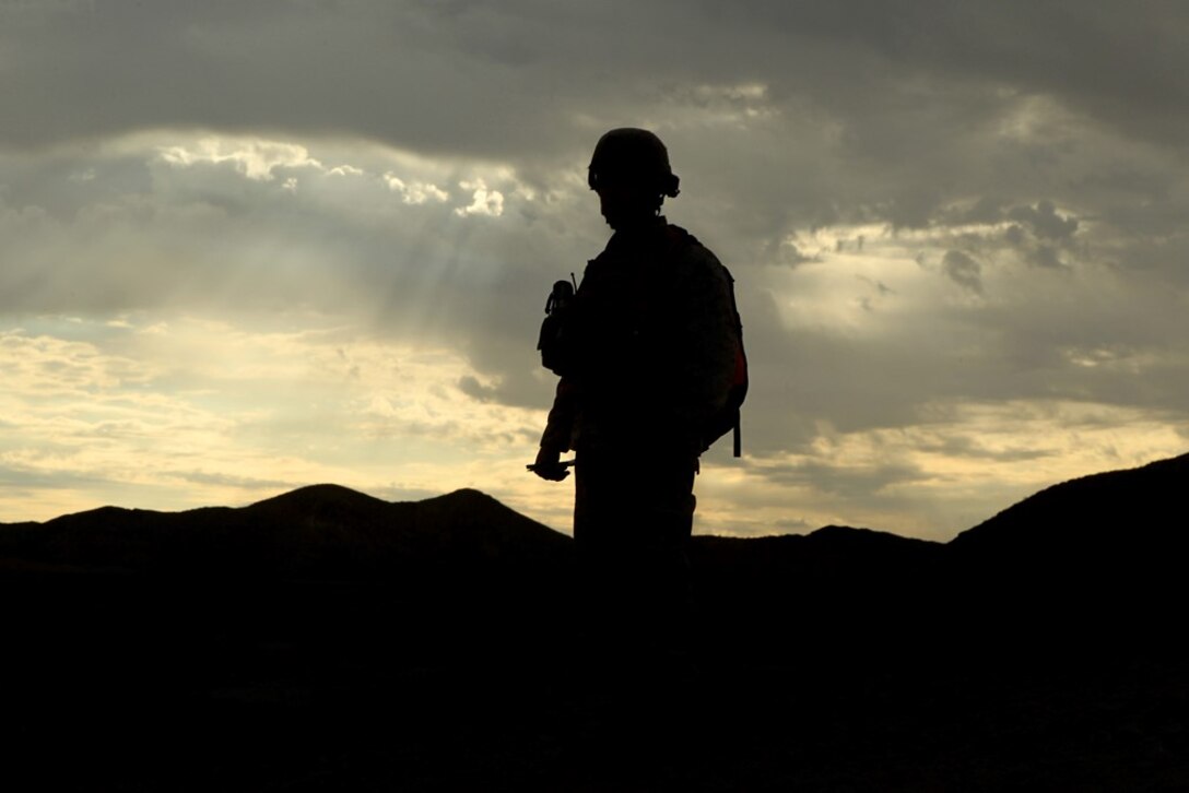 A coyote with the Combat Center’s Tactical Training Exercise Control Group, watches Marines with 1st Battalion, 9th Marines, 8th Marine Regiment, as they conduct a company-sized attack at Range 401 July 26. 

