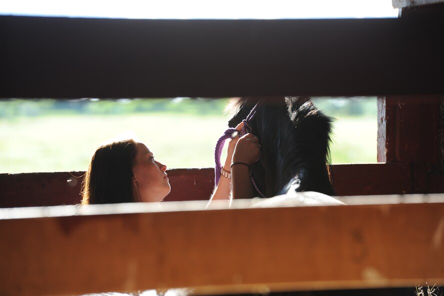 Minot Air Force Base Airmen and their families have the opportunity to maintain horses at the base’s horse stables. The Dufresne Riding Club, a non-profit organization, is currently comprised of 10 families with 17 horses and have a total of more than 60 acres of land for horses to graze. Members of the club perform all fundraising and barn maintenance themselves. (U.S. Air Force photo/Airman 1st Class Andrew Crawford)
