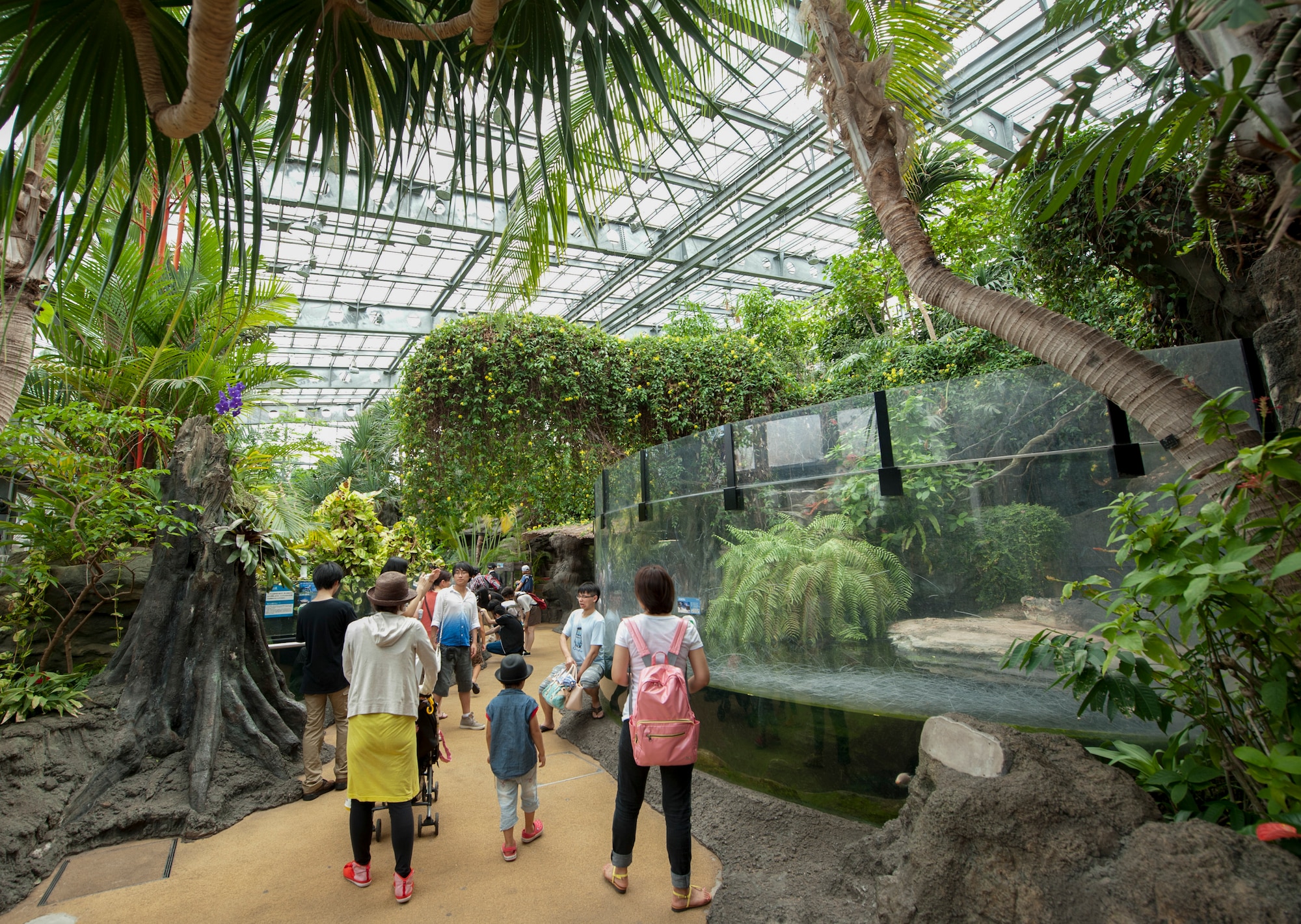 Ueno Zoo visitors walk through the vivarium Aug. 6, 2013. The vivarium houses crocodiles, frogs, turtles and snakes. (U.S. Air Force photo by Senior Airman Michael Washburn)