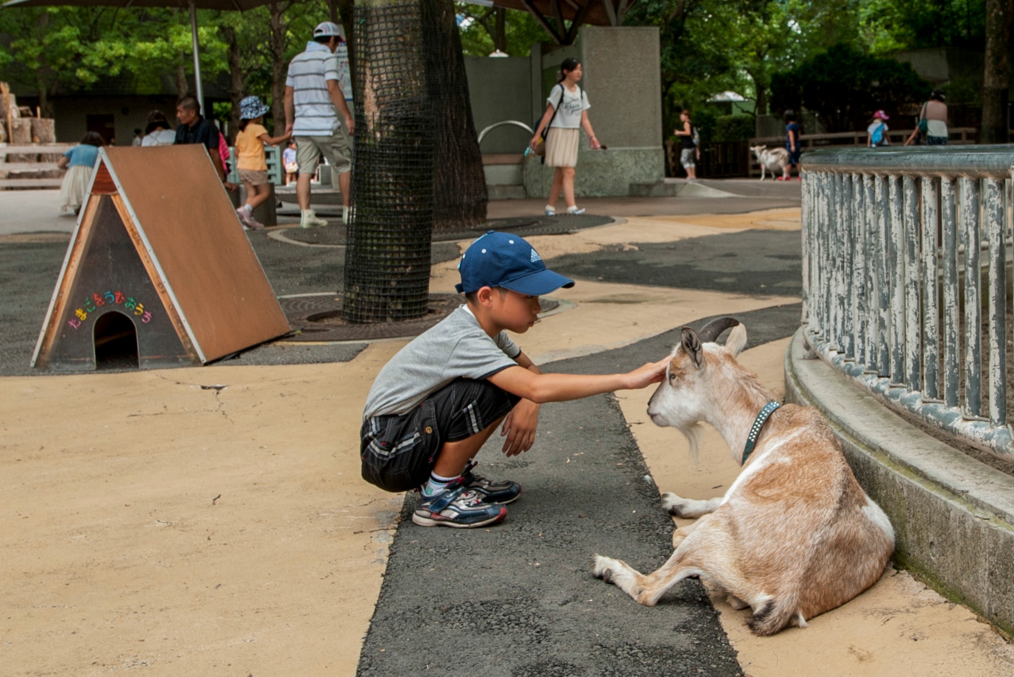 A young boy pets a goat at the children’s zoo area of Ueno Zoo Aug. 6, 2013. Along with goats, the children’s zoo also has horses, llamas, donkeys and other domestic animals. (U.S. Air Force photo by Senior Airman Michael Washburn)