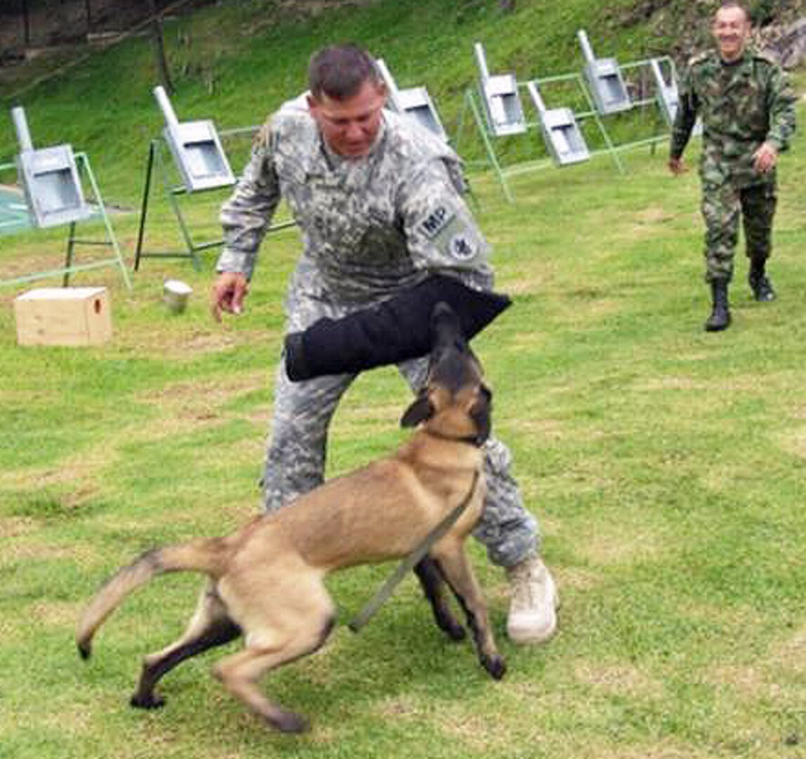 Master Sgt. Kirby West, Army South military working dog program manager, works with a Colombian military working dog during a demonstration in Bogota, Colombia. West was part of an Army South delegation of Soldiers and civilians who traveled to Bogota, Colombia to discuss the care, prevention and treatment of diseases military working dogs are diagnosed with while conducting operations. (Photo courtesy of U.S. Army South Public Affairs)