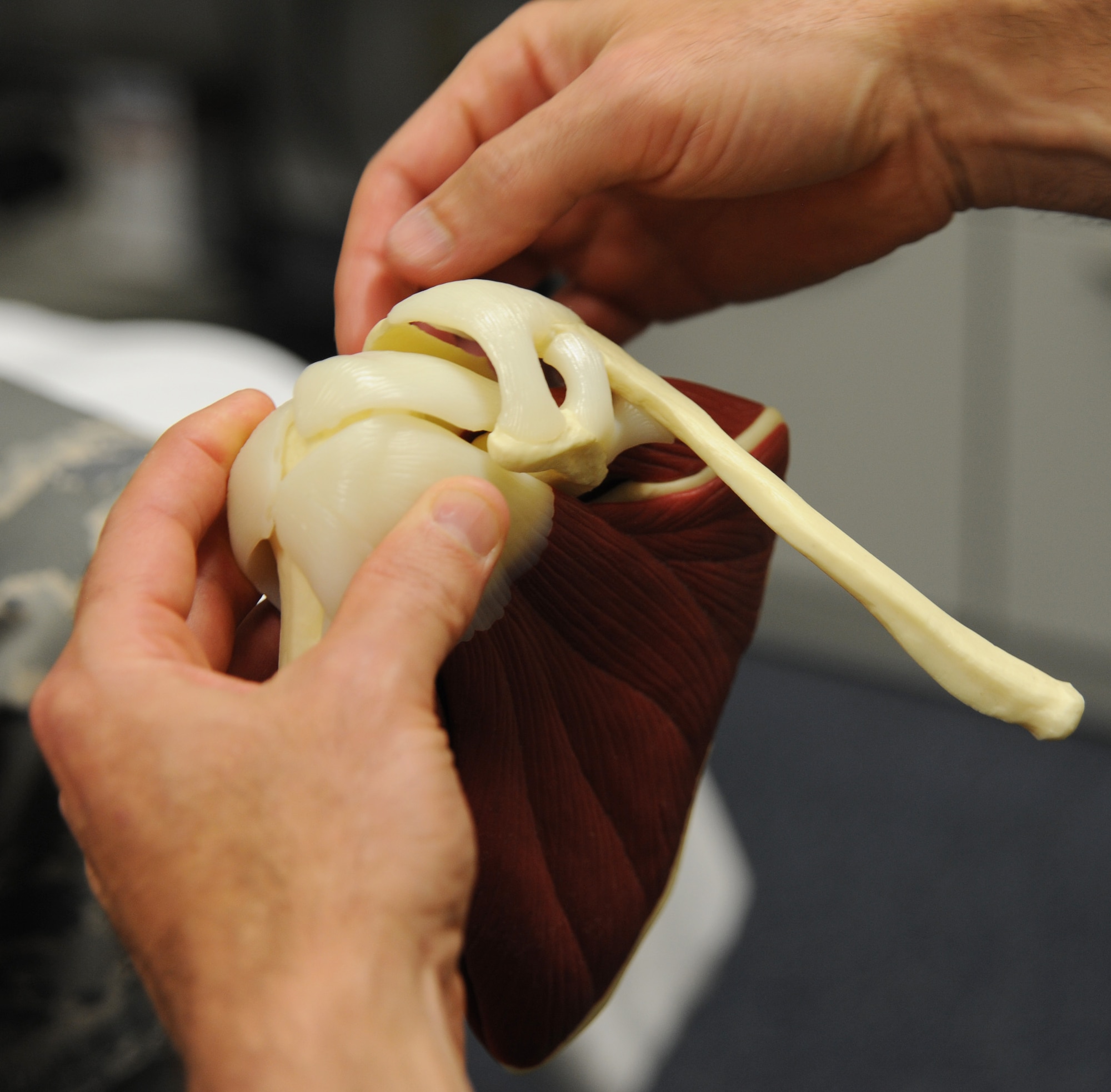 U.S. Air Force Maj. Michael Holmes, 509th Medical Operations Squadron physical therapy technician, uses a model of a shoulder to show U.S. Air Force Staff Sgt. Tim Ferguson, 509th Maintenance Group command chief assistant, his potential injury, Whiteman Air Force Base, Mo., Aug. 6, 2013. The physical therapy clinic devises a program plan unique to each individual and his injuries. (U.S. Air Force photo by Airman 1st Class Bryan Crane/Released)