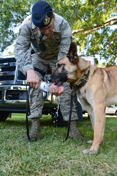 Staff Sgt. Jason Havinga, from the 2nd Security Forces Squadron, gives a military working dog water during National Night Out on Barksdale Air Force Base, La., Aug. 6, 2013. The 2nd SFS MWD section provides trained and certified military working dogs that are capable of tracking, scouting, fighting, guarding and detection. (U.S. Air Force photo/Senior Airman Micaiah Anthony)