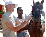 Army Staff Sgt. Kyle D. Gaerte of the Utah National Guard vaccinates a horse with a de-worming medicine during Exercise African Lion 2009.